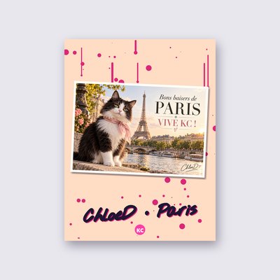 Postcard from Paris by ChloeD poster – Peach background
