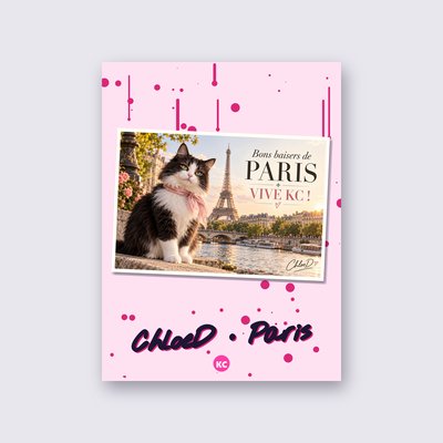 Postcard from Paris by ChloeD poster