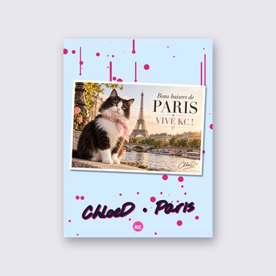 Postcard from Paris by ChloeD poster – Sky blue background