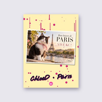 Postcard from Paris by ChloeD street art poster – Yellow