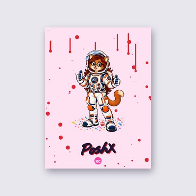 PoshX the astronaut poster