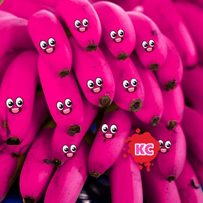 Round pink banana sticker with smiling faces – design 1